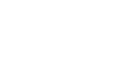 Flowbird white logo
