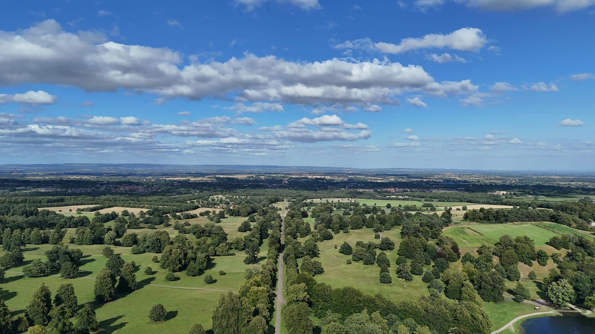 Aerial view of the countryside and trees